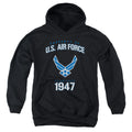 U.S. Air Force Property of 1947 Youth Hoodie