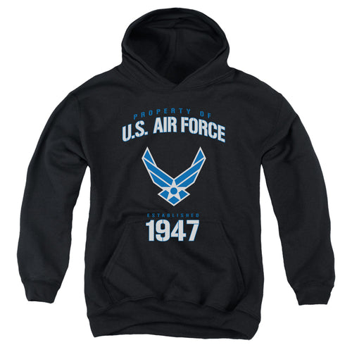 U.S. Air Force Property of 1947 Youth Hoodie