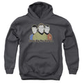 Star Trek Chicks Dig It Youth Hoodie