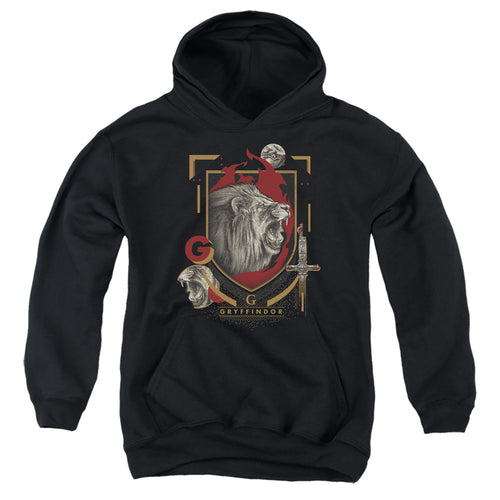Harry Potter Gryffindor Magicial Mischief Level Up Crest Youth Hoodie