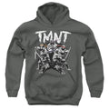 Teenage Mutant Ninja Turtles Team Youth Hoodie