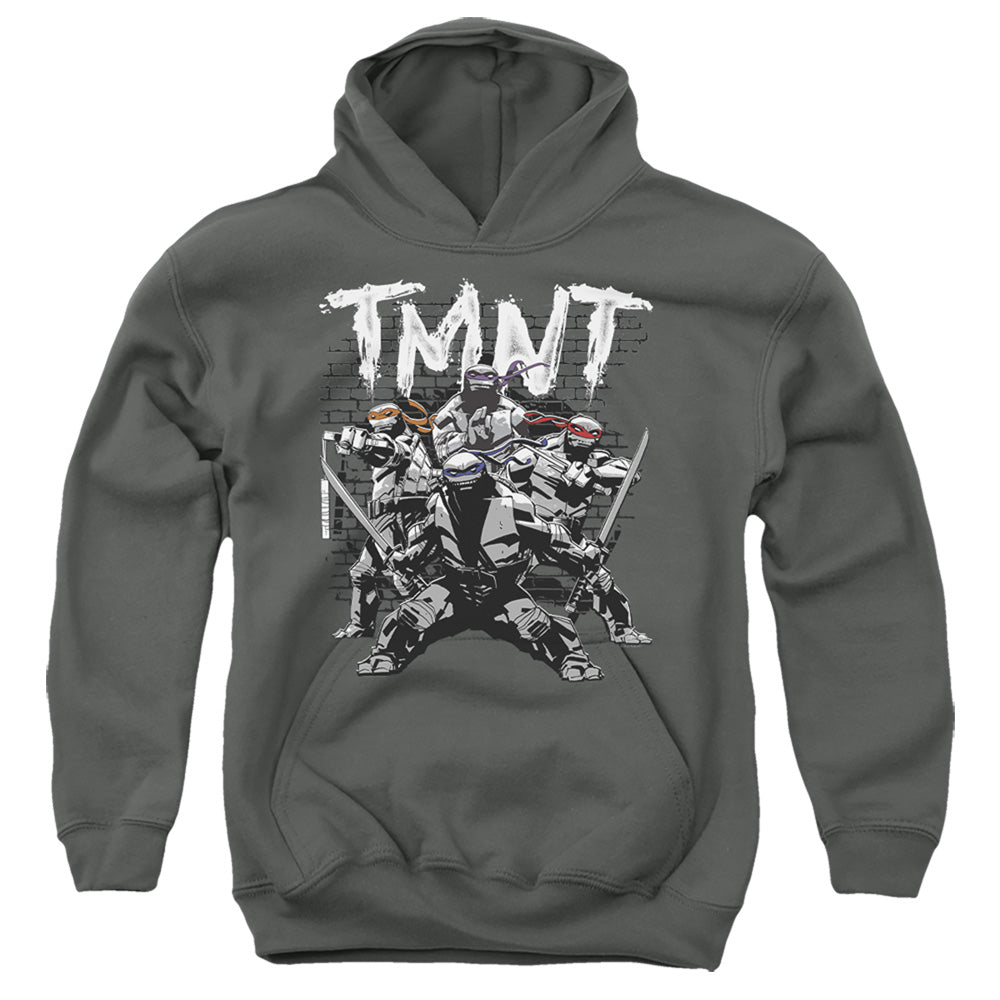 Teenage Mutant Ninja Turtles Team Youth Hoodie
