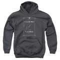 Fantastic Beasts Curse It Youth Hoodie