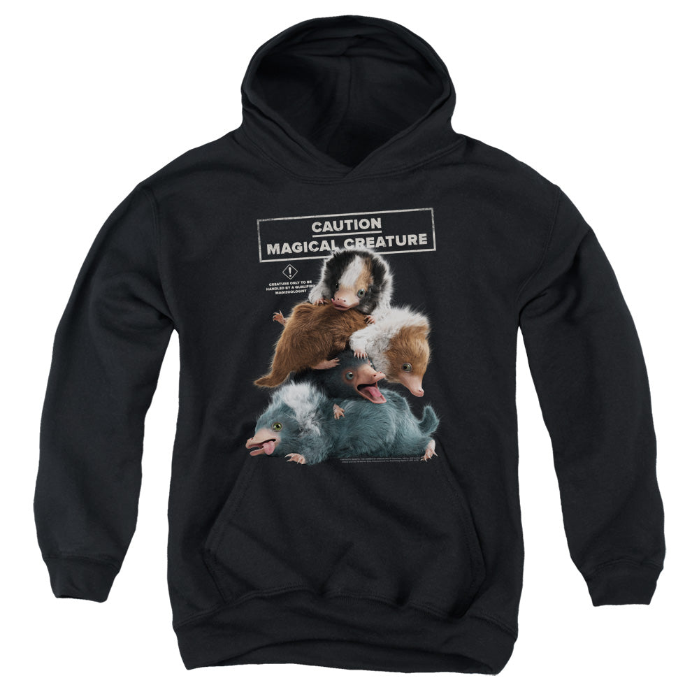 Fantastic Beasts Cuddle Puddle Youth Hoodie