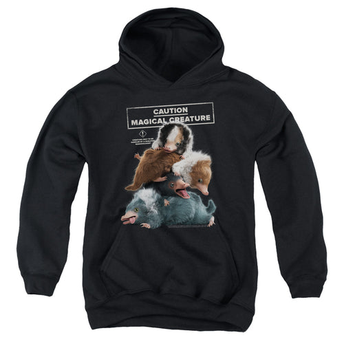 Fantastic Beasts Cuddle Puddle Youth Hoodie