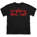The Batman And Catwoman Youth/Toddler T-Shirt
