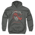 Dungeons & Dragons How I Roll D and D Youth Hoodie