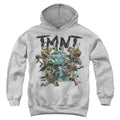 Teenage Mutant Ninja Turtles Feudal Japan Youth Hoodie