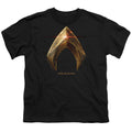 Justice League Aquaman Logo Youth/Toddler T-Shirt