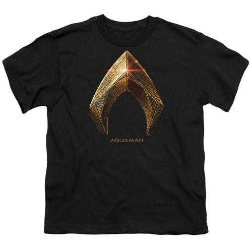 Justice League Aquaman Logo Youth/Toddler T-Shirt