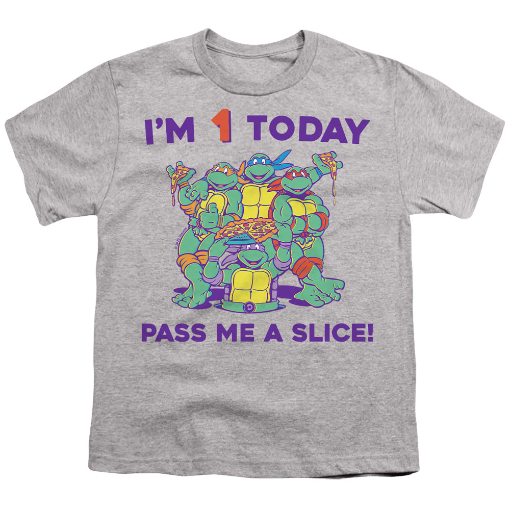 Teenage Mutant Ninja Turtles Pizza Birthday Youth/Toddler T-Shirt