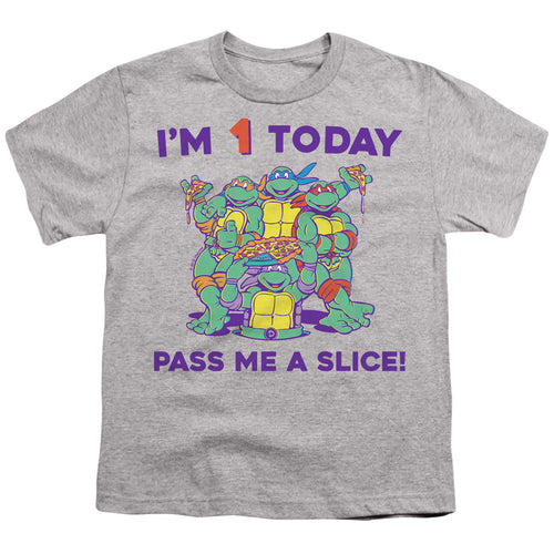 Teenage Mutant Ninja Turtles Pizza Birthday Youth/Toddler T-Shirt