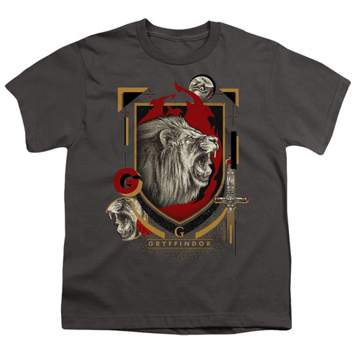 Harry Potter Gryffindor Magicial Mischief Level Up Crest Youth/Toddler T-Shirt