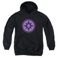 Green Lantern Sapphire Symbol Youth Hoodie