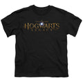 Hogwarts Legacy Logo Youth/Toddler T-Shirt