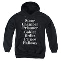 Harry Potter Titles Youth Hoodie