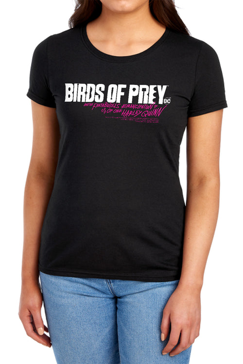 Birds of Prey Horizontal Logo Womens T-Shirt