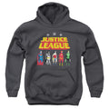 Justice League Standing Below Youth Hoodie