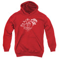 Looney Tunes Daffy Holidays Youth Hoodie