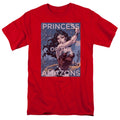 DC Comics Princess Of The Amazons T-Shirt