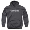 The Three Stooges Metallic Logo Youth Hoodie