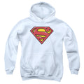 Superman Airbrush Shield Youth Hoodie