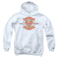 Superman Worlds Greatest Hero Dad Youth Hoodie