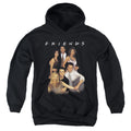 Friends Stand Together Youth Hoodie