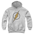 DC Comics Flash Muted Color Bolt Youth Hoodie