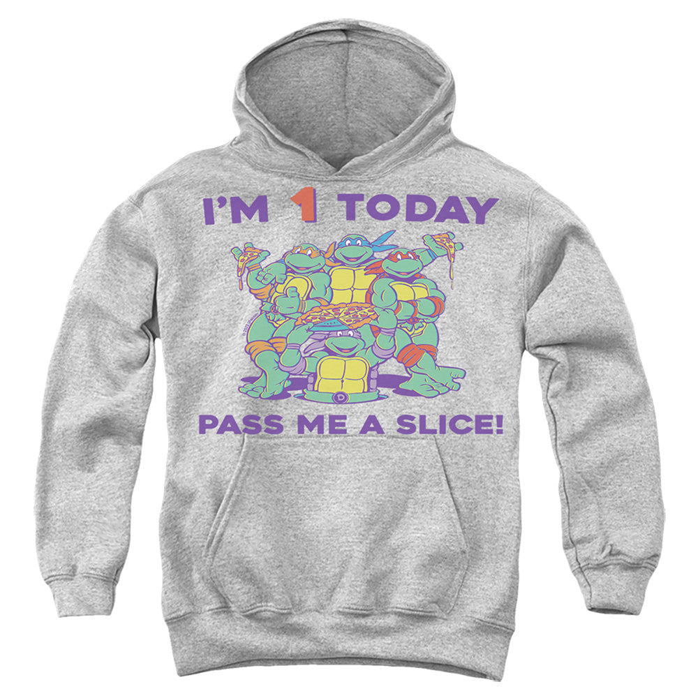 Teenage Mutant Ninja Turtles Pizza Birthday Youth Hoodie