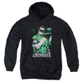 Justice League Fist Flare Youth Hoodie
