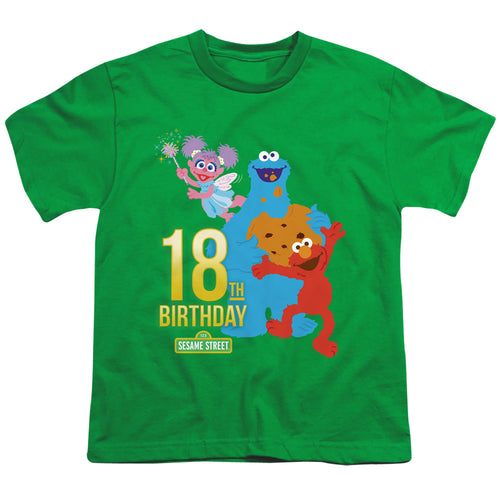 Sesame Street 18th Birthday Youth/Toddler T-Shirt