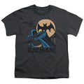 DC Comics Look Out Youth/Toddler T-Shirt