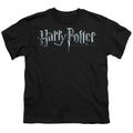Harry Potter Logo Youth/Toddler T-Shirt