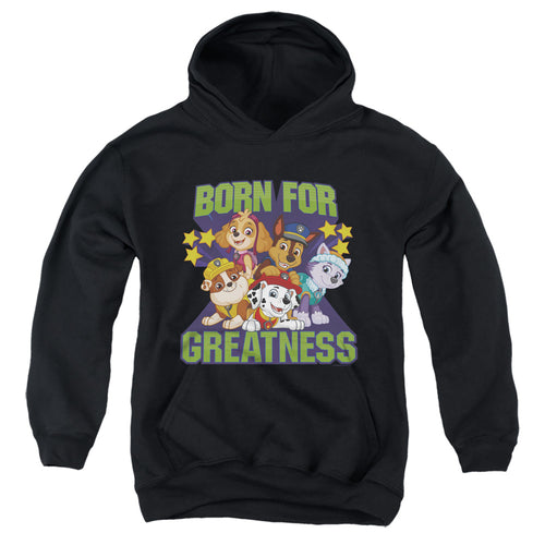 Paw Patrol Born for Greatness Youth Hoodie
