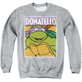 Teenage Mutant Ninja Turtles Donnie Crewneck Sweatshirt
