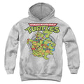 Teenage Mutant Ninja Turtles Group Youth Hoodie