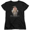 Harry Potter Dumble Doors Womens T-Shirt