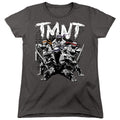 Teenage Mutant Ninja Turtles Team Womens T-Shirt