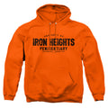 Justice League Iron Heights Pullover Hoodie