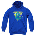 DC Comics Distressed Arrow Youth Hoodie