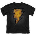 Black Adam Black Adam Beveled Emblem Youth/Toddler T-Shirt