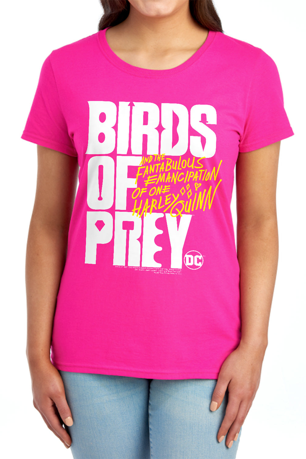 Birds of Prey Birds Of Prey Logo Womens T-Shirt