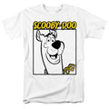 Scooby-Doo Square T-Shirt