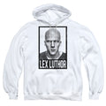Batman v Superman Luthor Pullover Hoodie