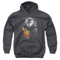 Harry Potter Ron Portrait Youth Hoodie