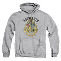 Harry Potter Hogwarts Crest Pullover Hoodie