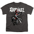 Teenage Mutant Ninja Turtles Raphael Youth/Toddler T-Shirt