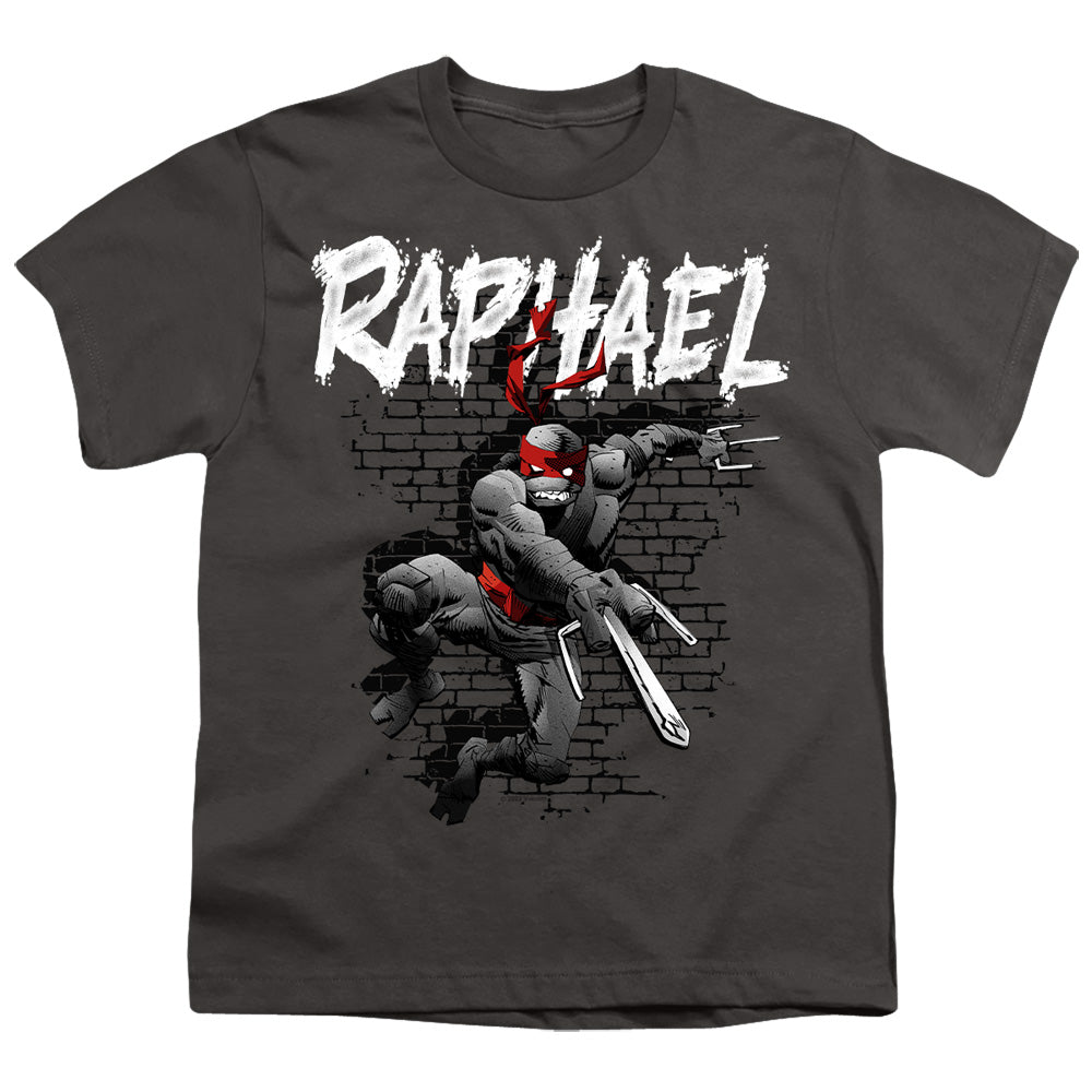 Teenage Mutant Ninja Turtles Raphael Youth/Toddler T-Shirt