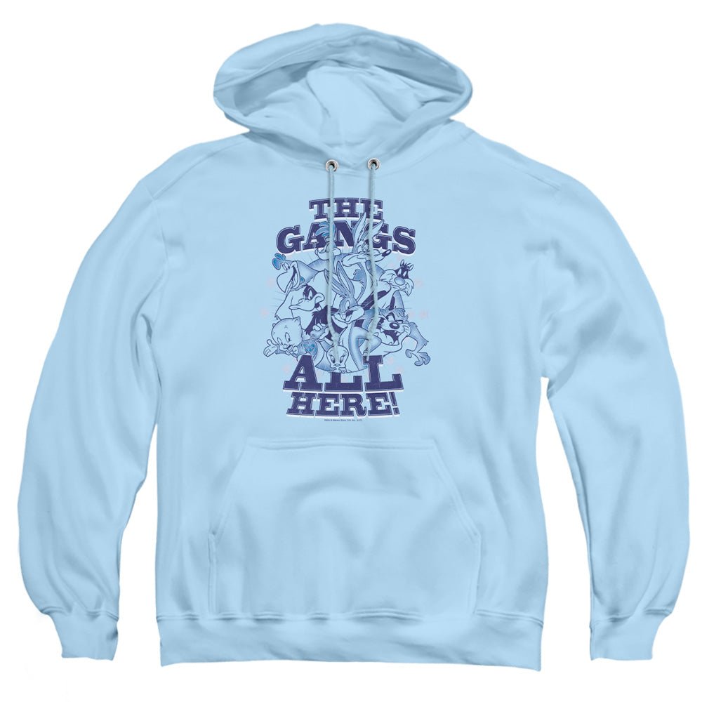 Looney Tunes Blue Gang Pullover Hoodie